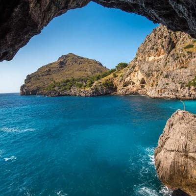 Program Manager - Women's Health Initiative